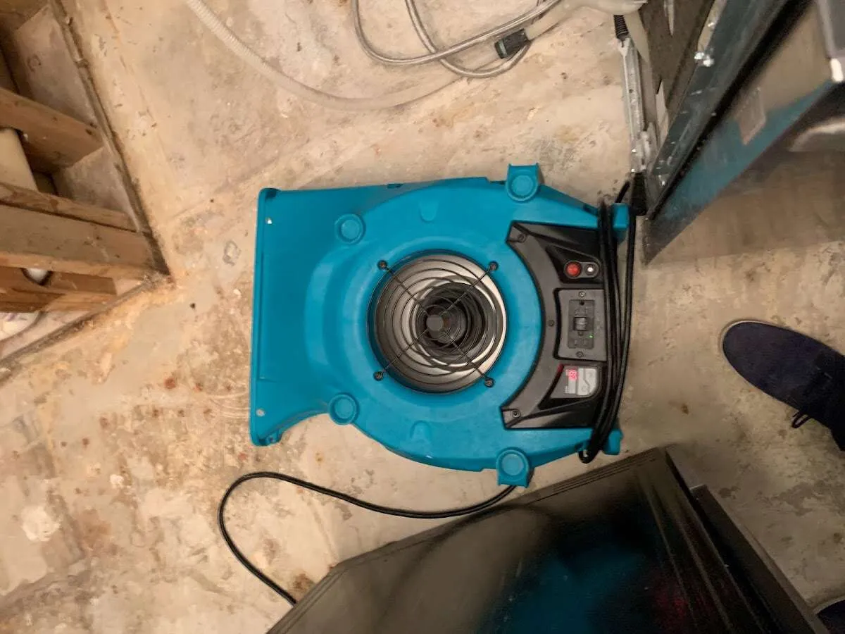 Air mover drying equipment for Mold Remediation & Removal in Tolleson